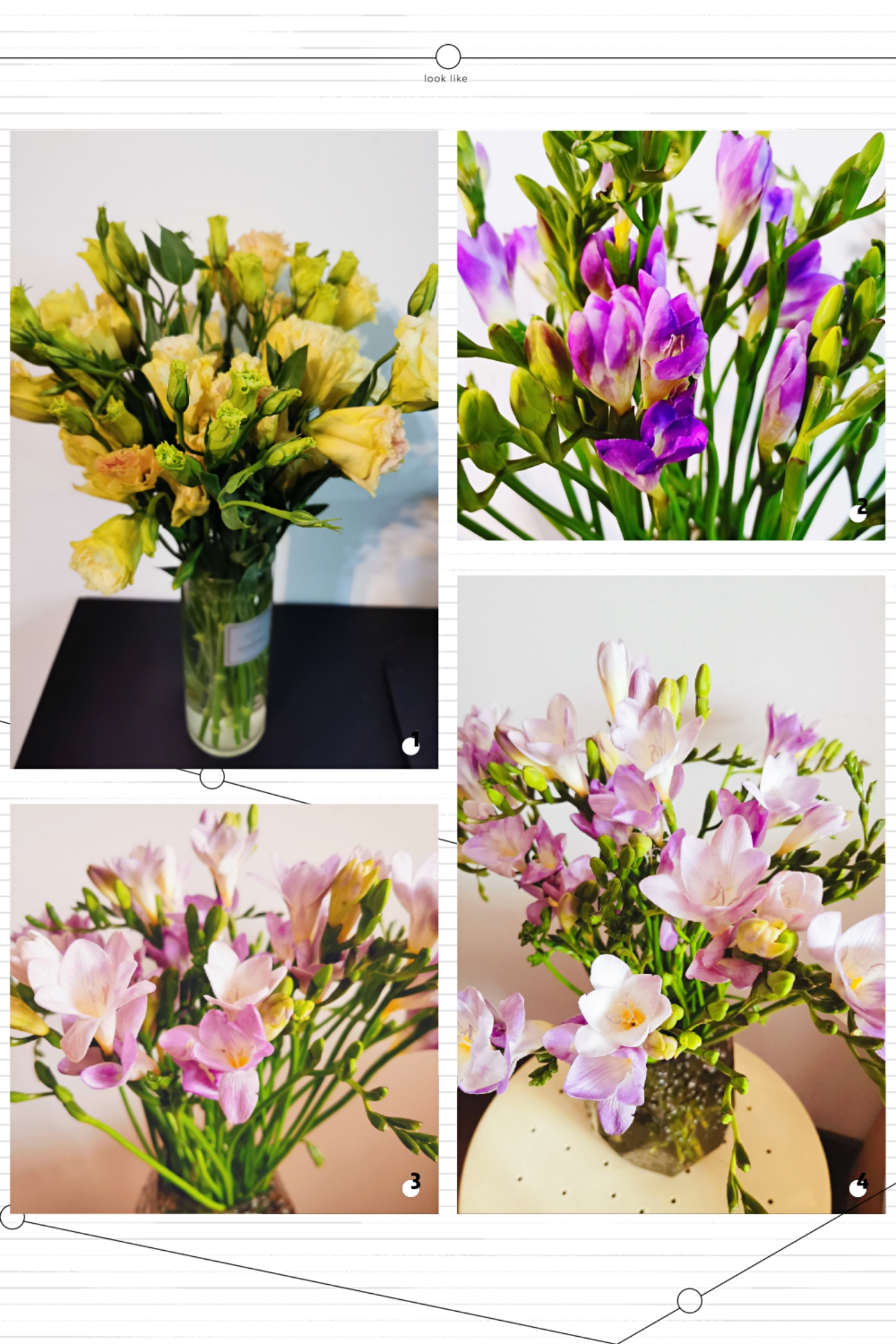 Happy Women’s Day | 戰(zhàn)疫時期，這個三八節(jié)，我們“e”起過！